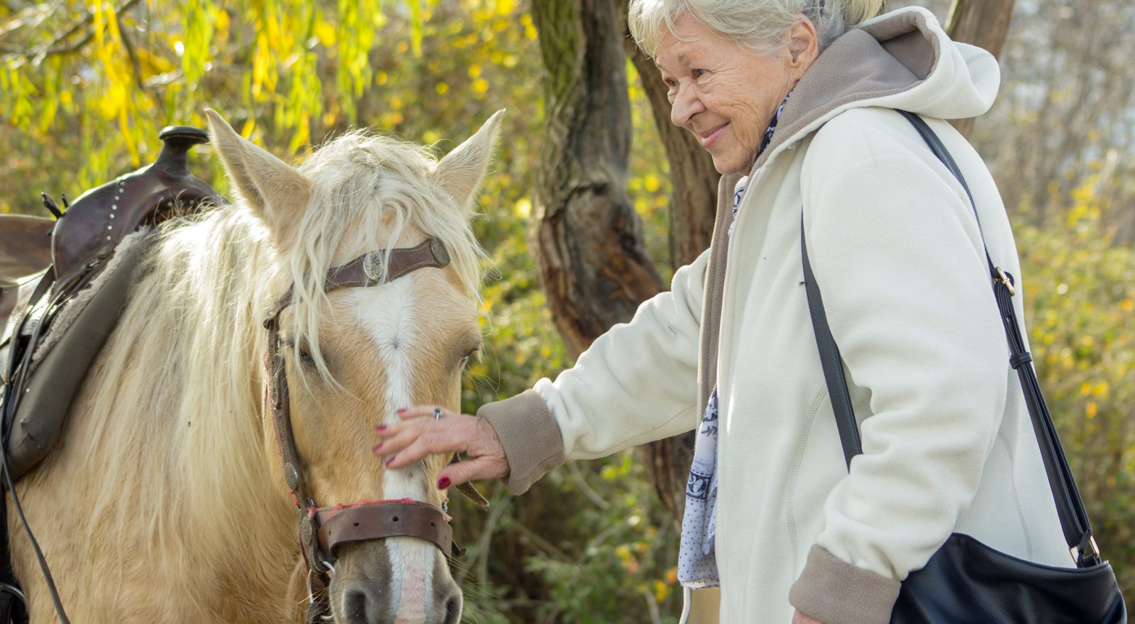 Equines And Elders Seniors Moose Jaw