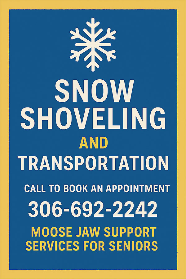 Snow And Transportation Poster